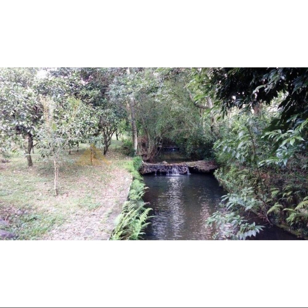 Sítio, 8 quartos, 4 hectares - Foto 4