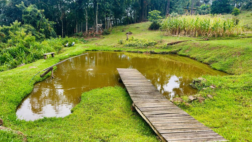 Sítio, 2 quartos - Foto 18