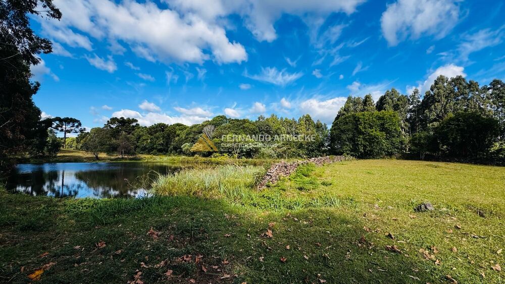 Chácara, 5 quartos, 3 hectares - Foto 2