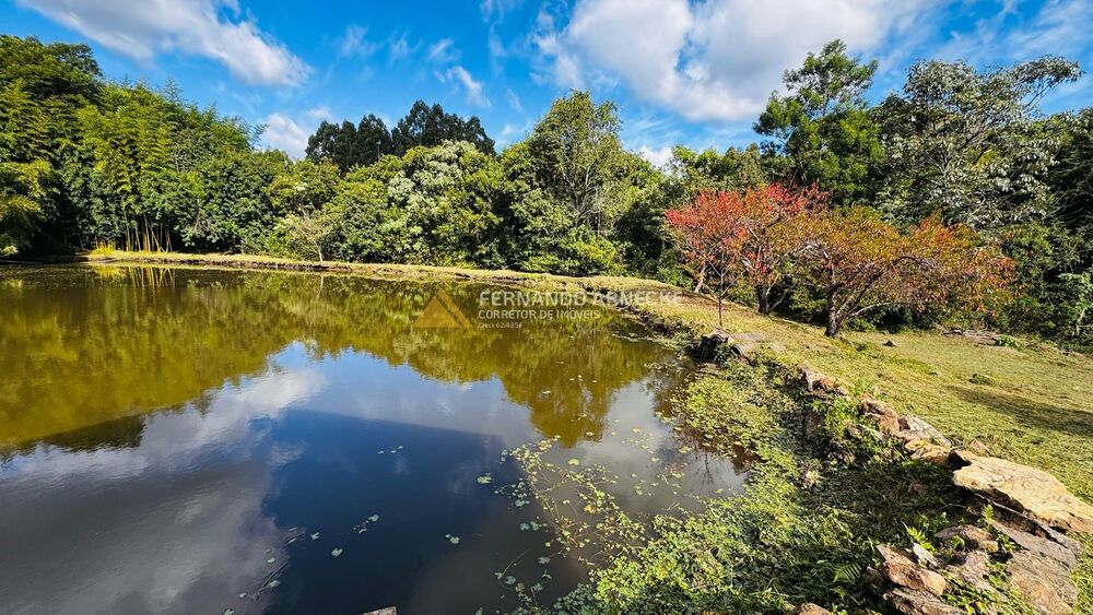 Chácara, 5 quartos, 3 hectares - Foto 15