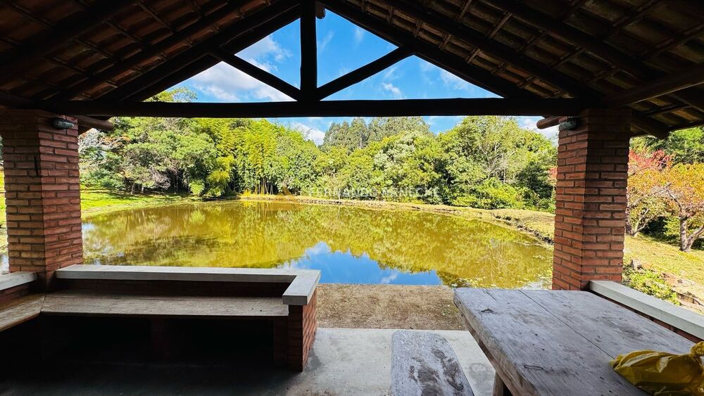 Chácara, 5 quartos, 3 hectares - Foto 13