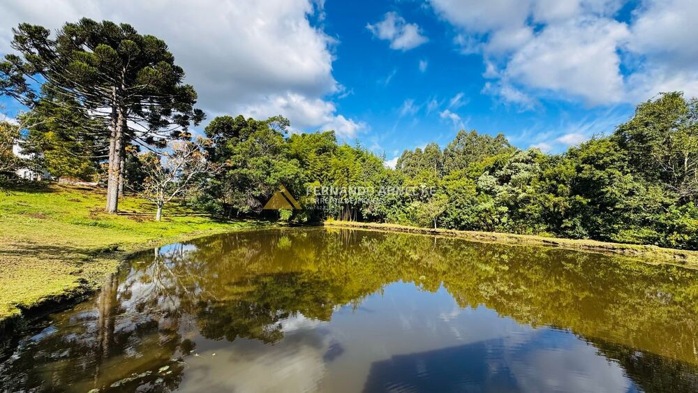 Chácara, 5 quartos, 3 hectares - Foto 11