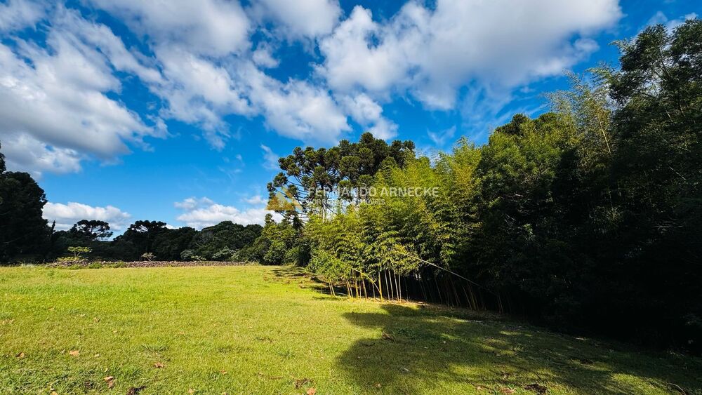 Chácara, 5 quartos, 3 hectares - Foto 6