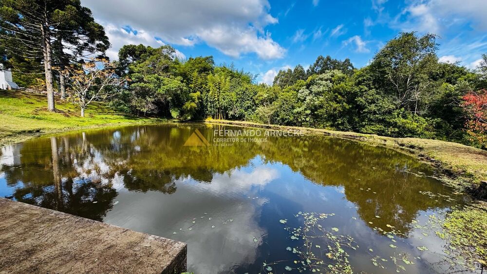 Chácara, 5 quartos, 3 hectares - Foto 18