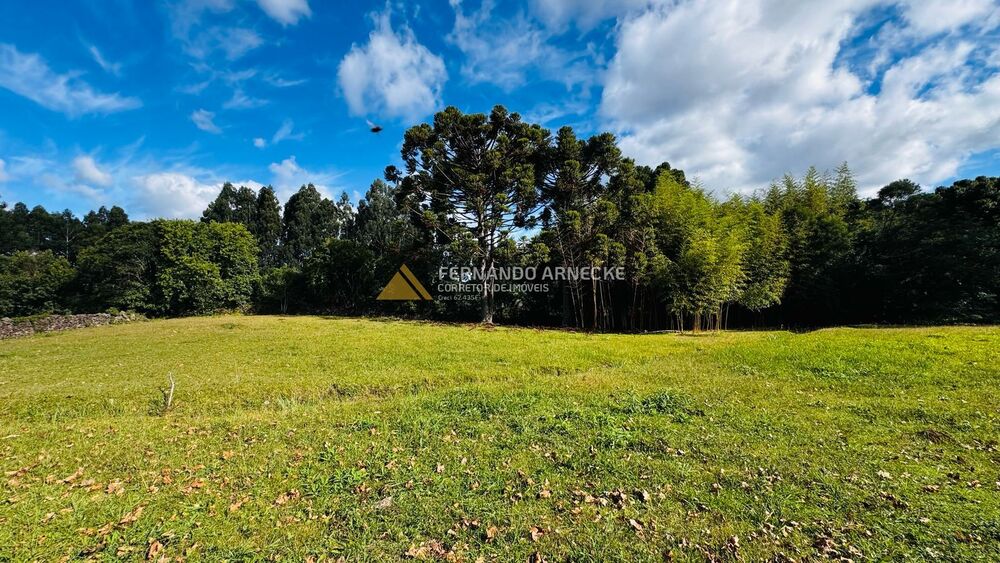 Chácara, 5 quartos, 3 hectares - Foto 4