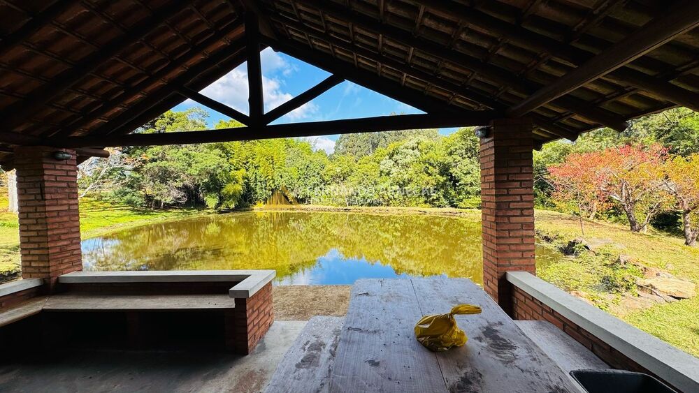 Chácara, 5 quartos, 3 hectares - Foto 12