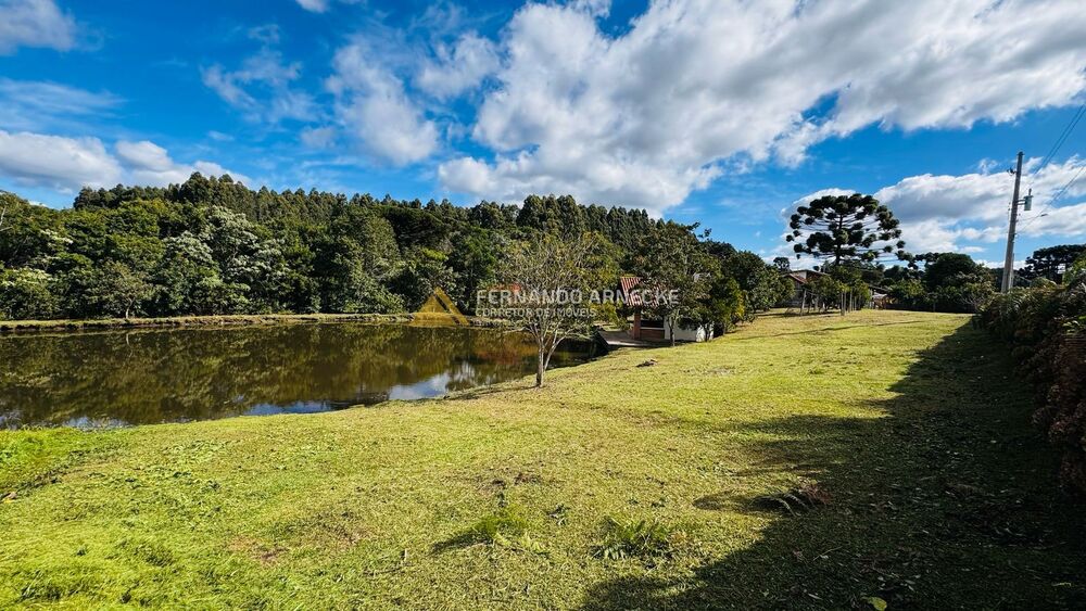 Chácara, 5 quartos, 3 hectares - Foto 9