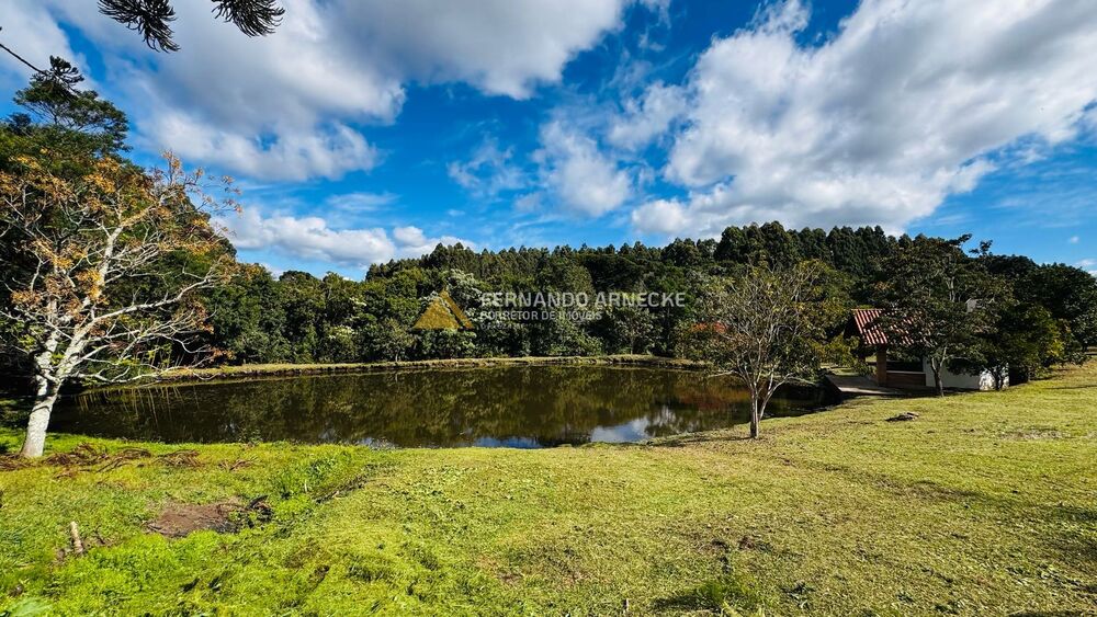 Chácara, 5 quartos, 3 hectares - Foto 10