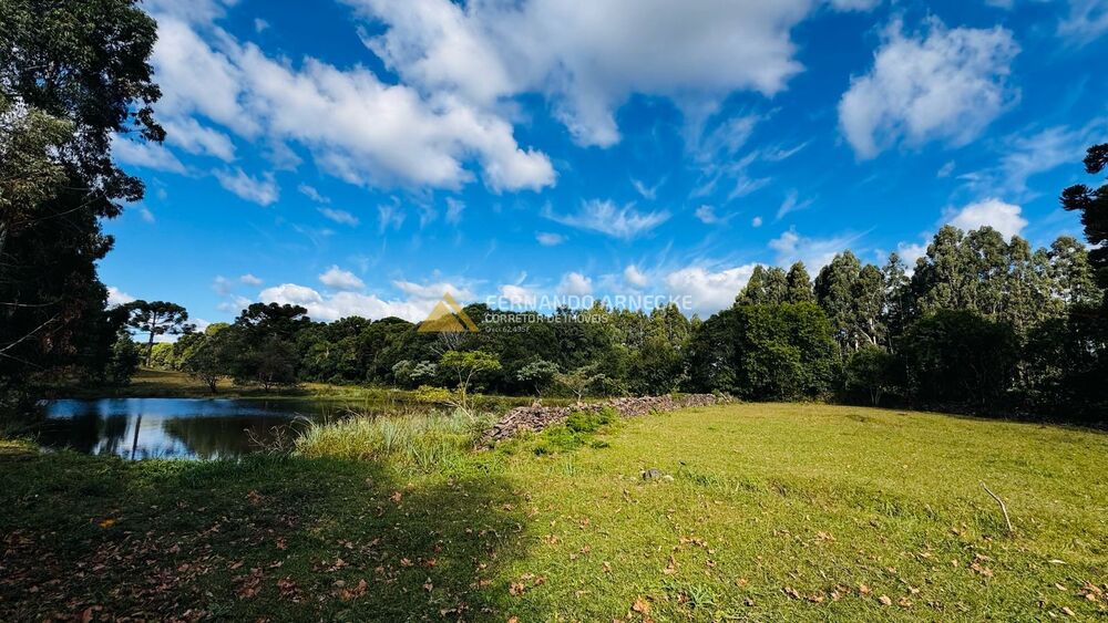 Chácara, 5 quartos, 3 hectares - Foto 1