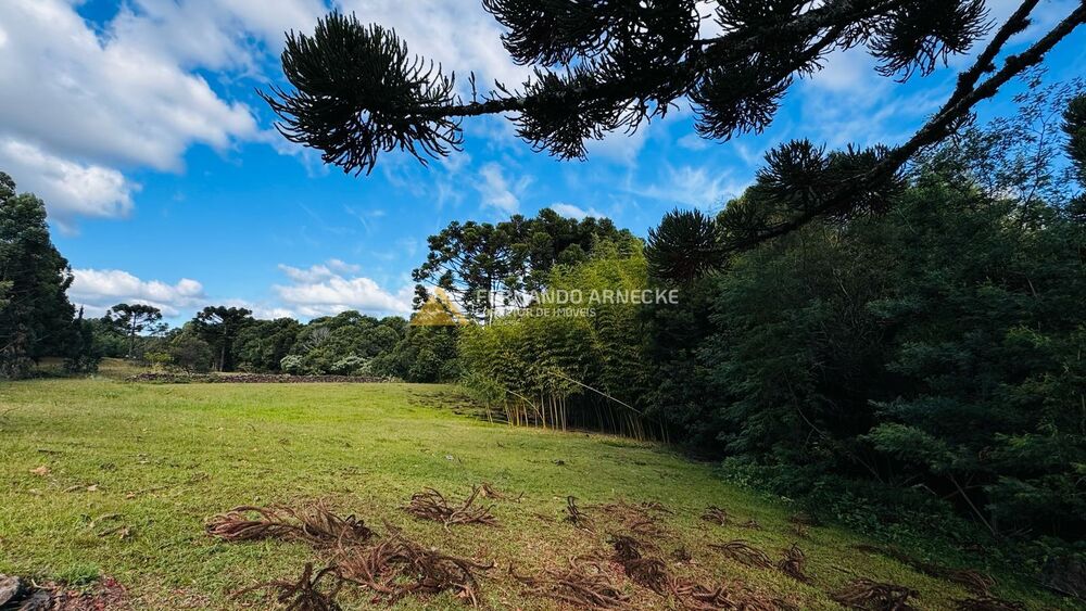 Chácara, 5 quartos, 3 hectares - Foto 7