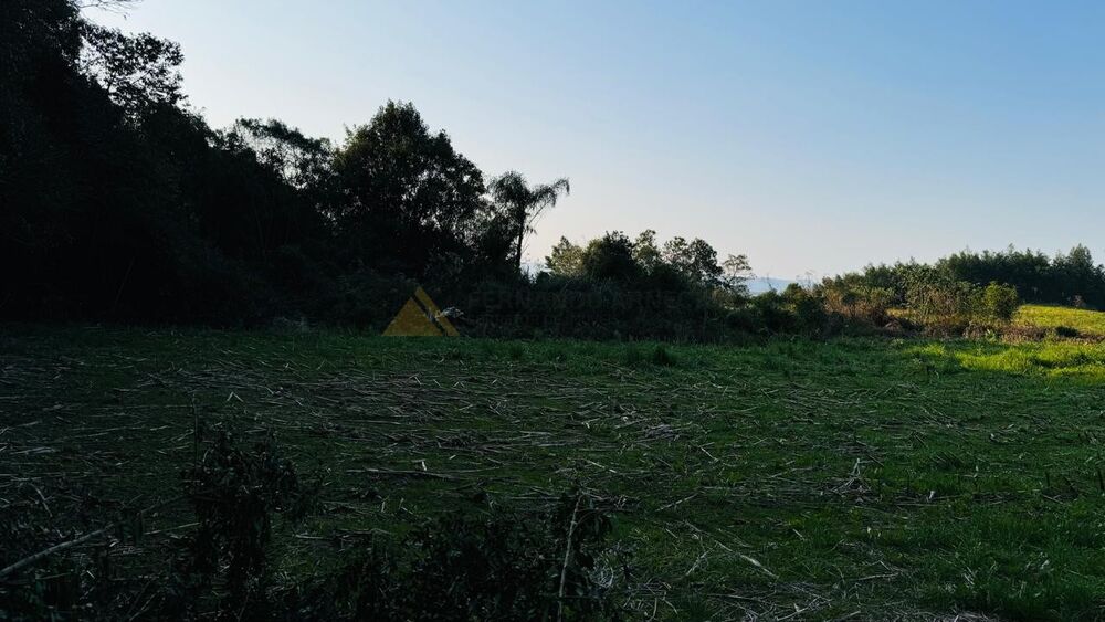Sítio, 10000 m² - Foto 10