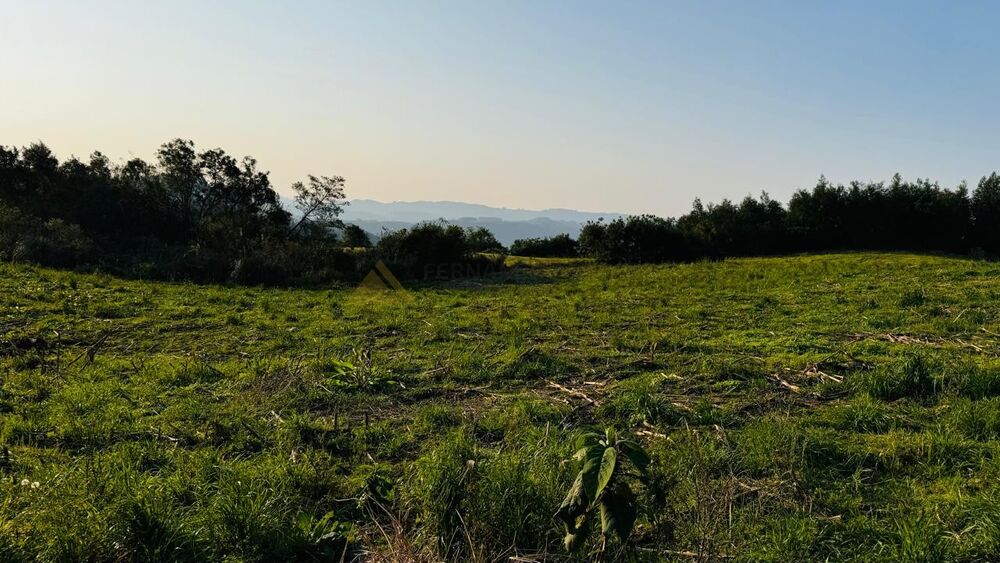 Sítio, 10000 m² - Foto 11