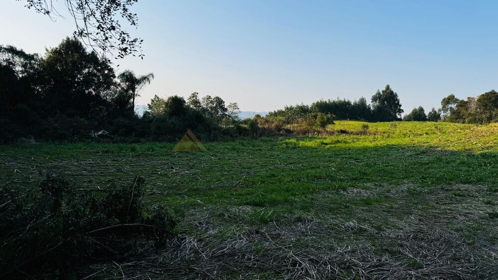 Sítio, 10000 m² - Foto 6