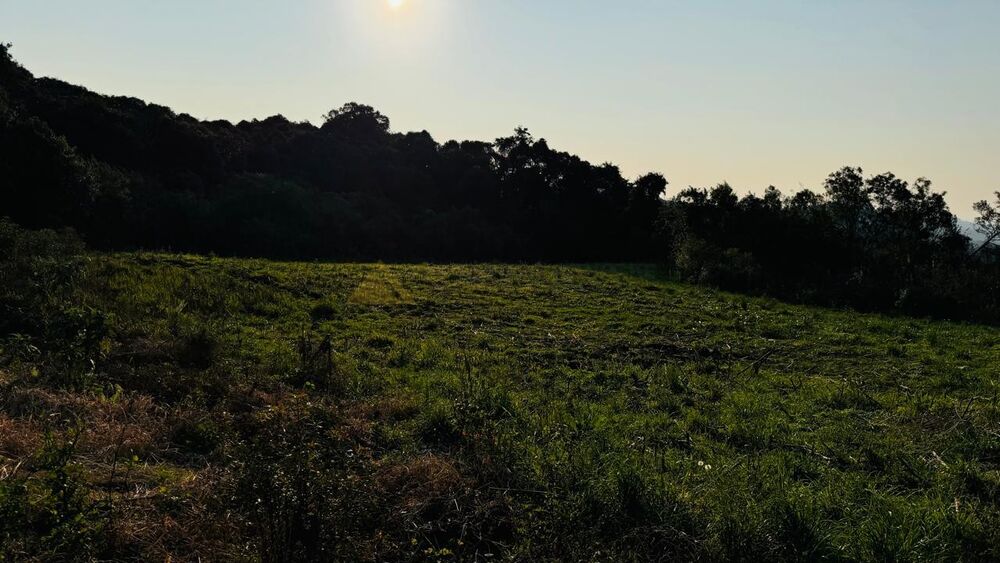 Sítio, 10000 m² - Foto 12