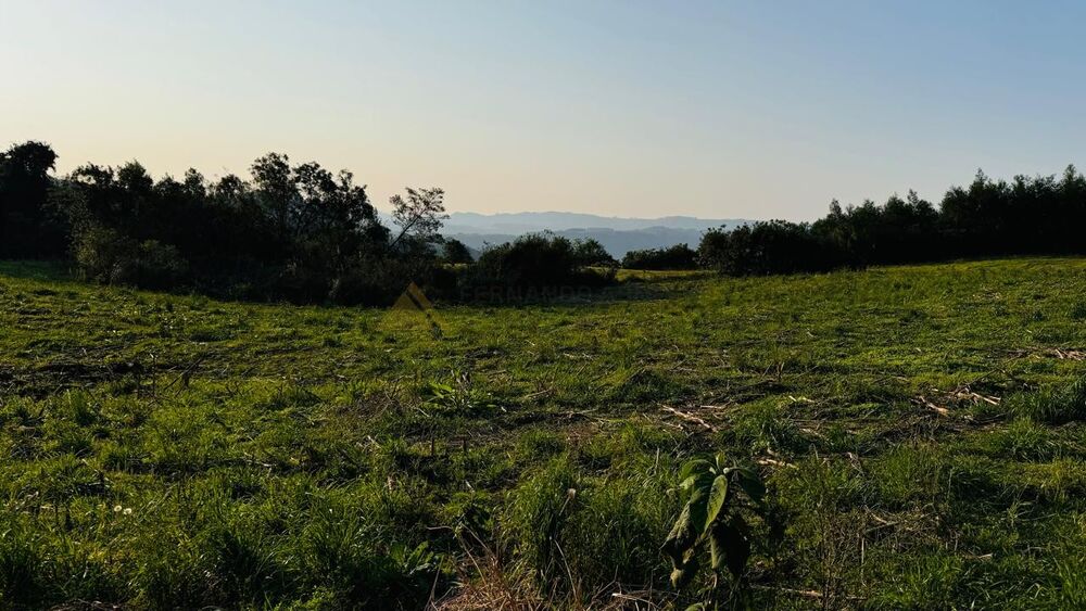 Sítio, 10000 m² - Foto 13