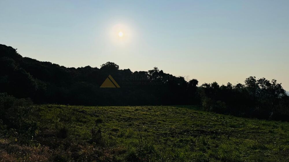 Sítio, 10000 m² - Foto 3