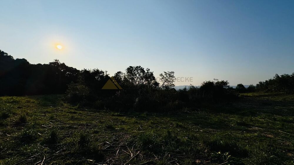 Sítio, 10000 m² - Foto 14