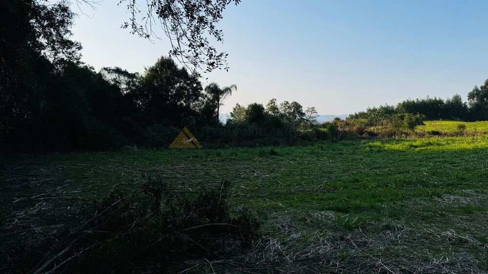 Sítio, 10000 m² - Foto 9