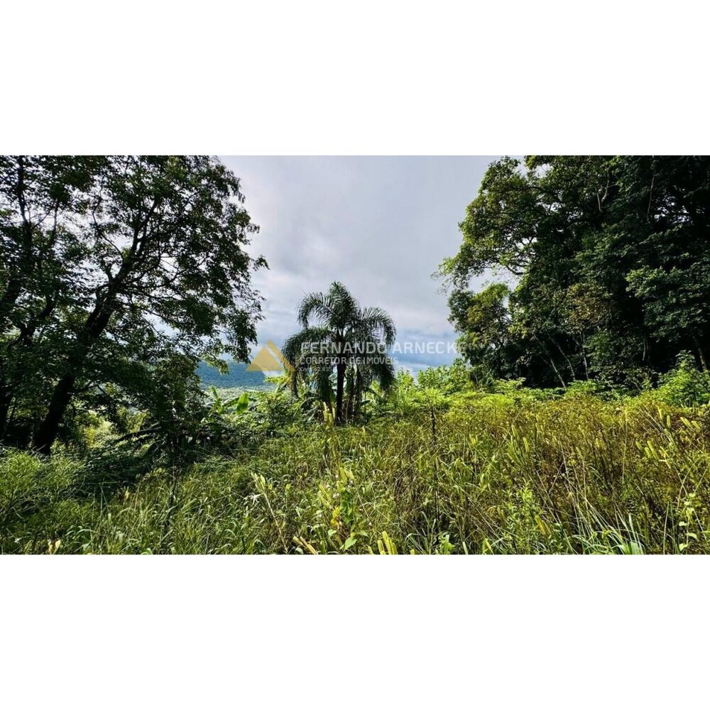 Sítio, 4 hectares - Foto 16