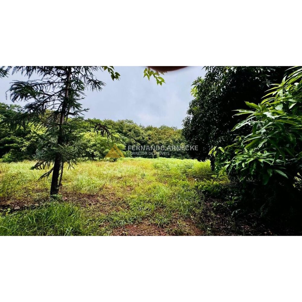 Sítio, 4 hectares - Foto 7