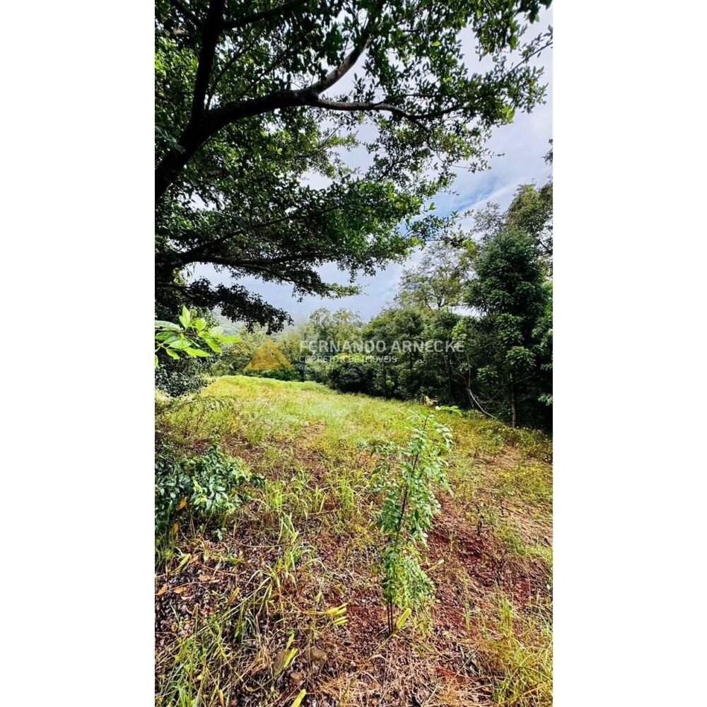 Sítio, 4 hectares - Foto 18