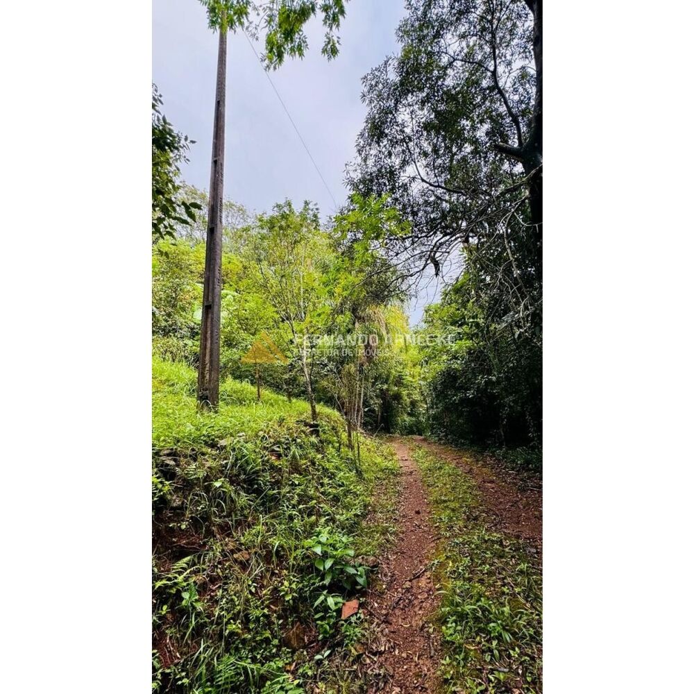 Sítio, 4 hectares - Foto 1