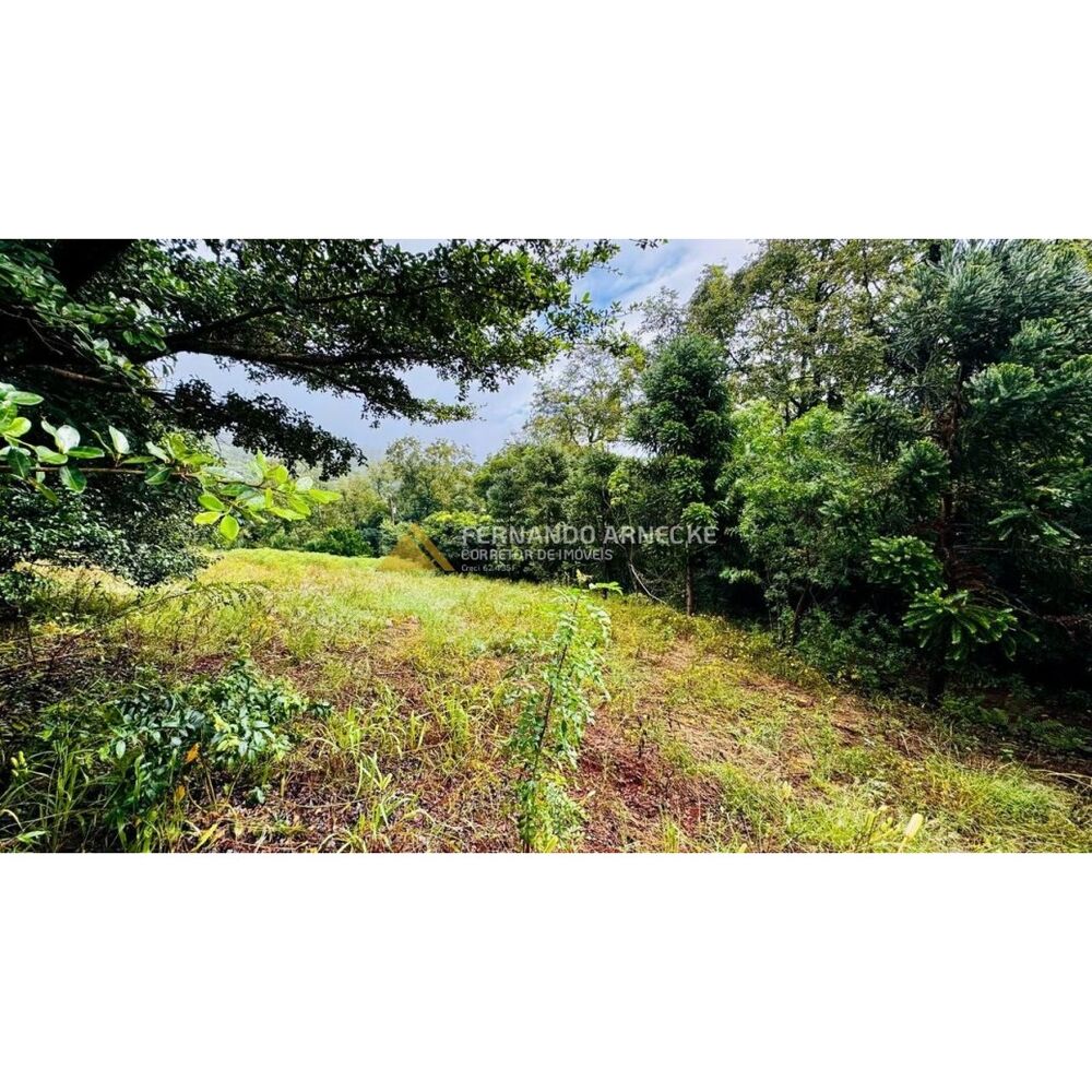 Sítio, 4 hectares - Foto 17