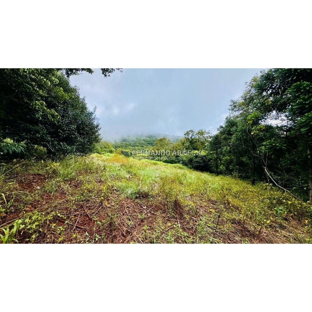 Sítio, 4 hectares - Foto 12