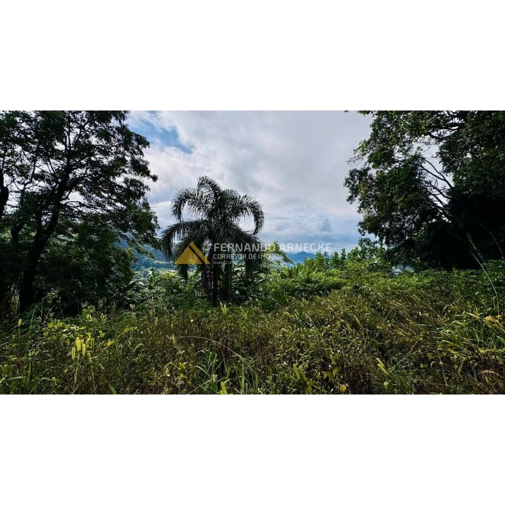 Sítio, 4 hectares - Foto 13