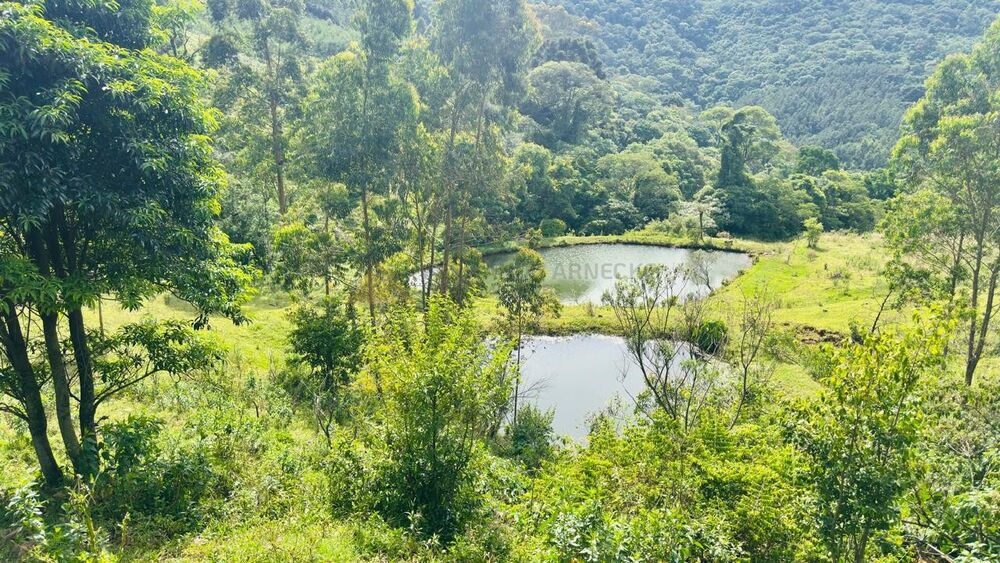 Chácara, 2 quartos, 7 hectares - Foto 8