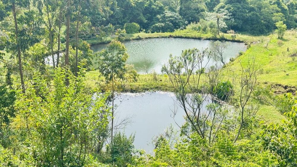 Chácara, 2 quartos, 7 hectares - Foto 6