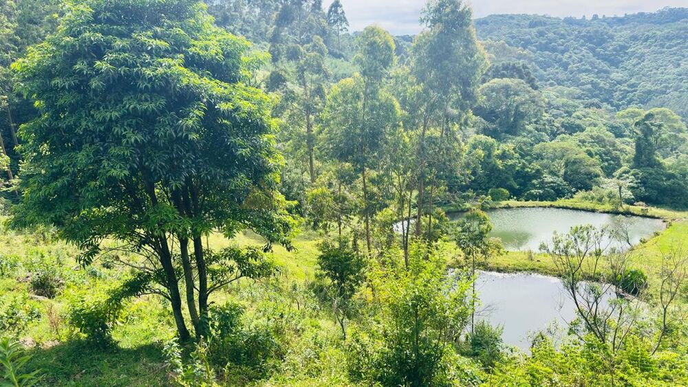Chácara, 2 quartos, 7 hectares - Foto 7