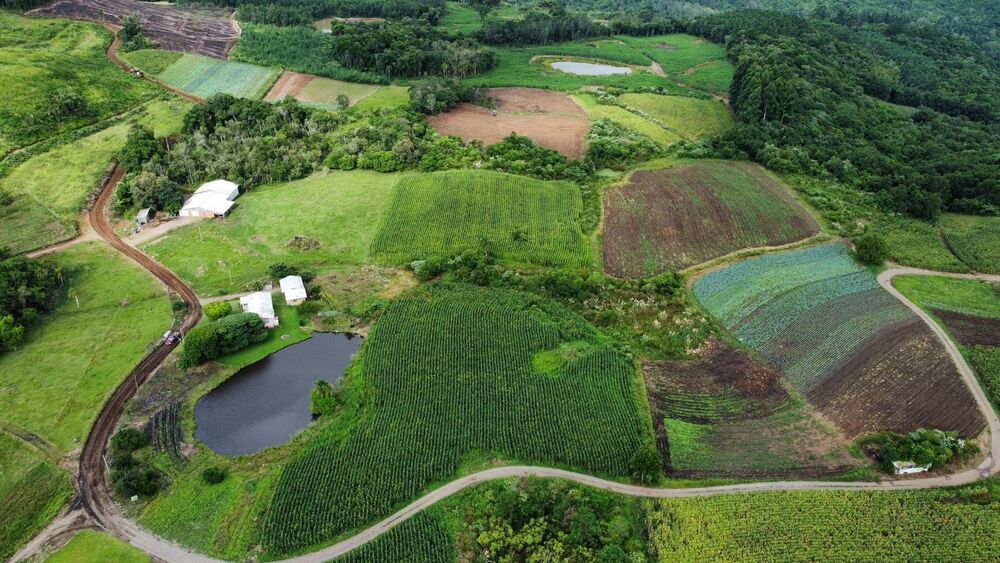 Terreno, 3 hectares - Foto 3