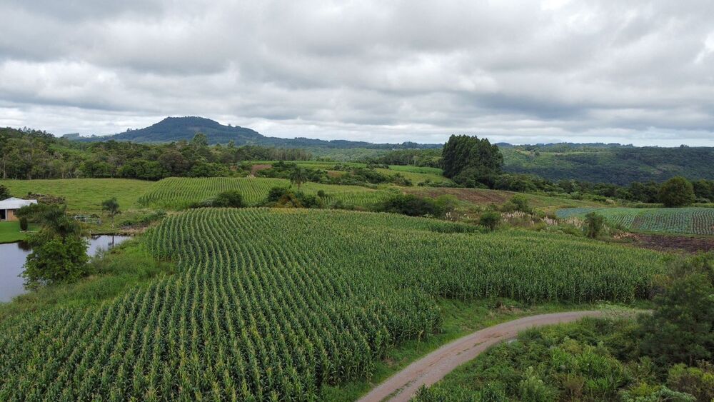 Terreno, 3 hectares - Foto 7