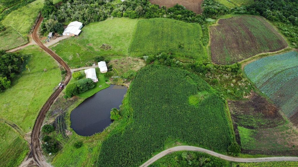 Terreno, 3 hectares - Foto 6