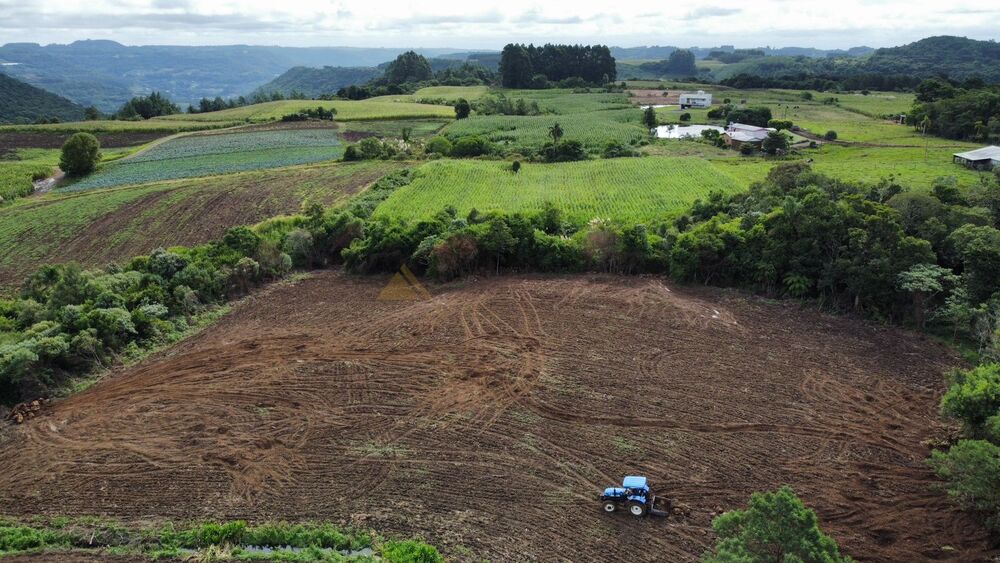 Terreno, 3 hectares - Foto 4