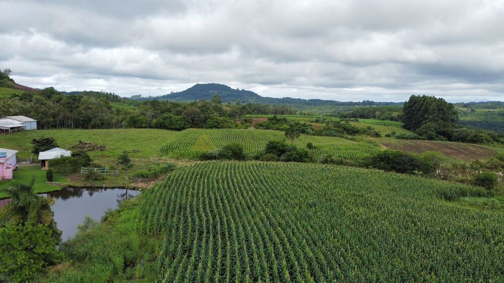 Terreno, 3 hectares - Foto 11
