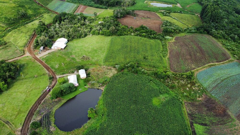Terreno, 3 hectares - Foto 1