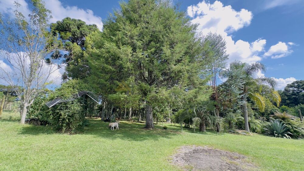 Sítio à venda com 3 quartos, 90m² - Foto 20