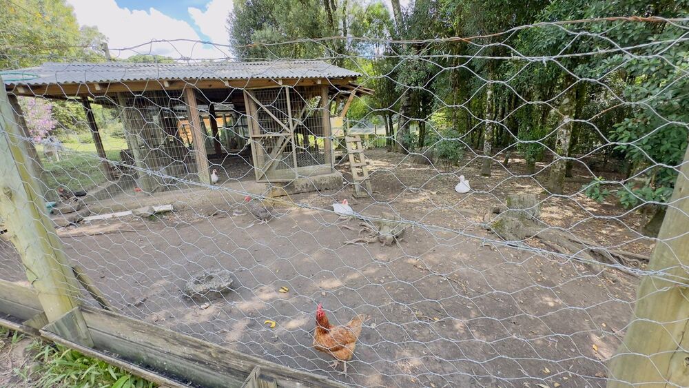 Sítio à venda com 3 quartos, 90m² - Foto 11
