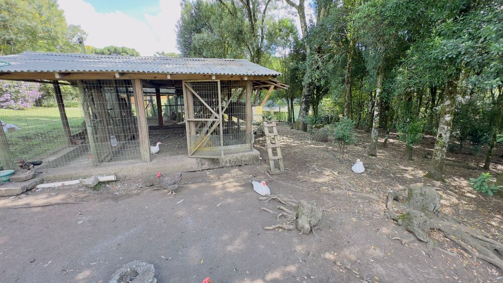 Sítio à venda com 3 quartos, 90m² - Foto 12