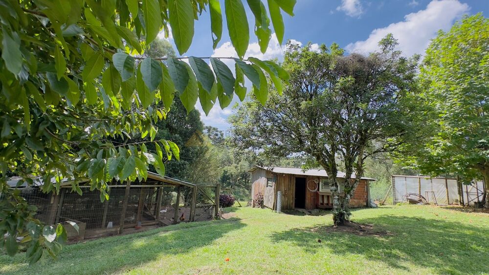 Sítio à venda com 3 quartos, 90m² - Foto 9