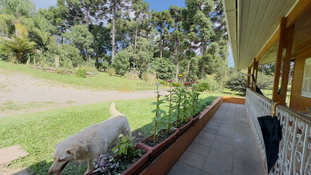 Sítio à venda com 3 quartos, 90m² - Foto 17