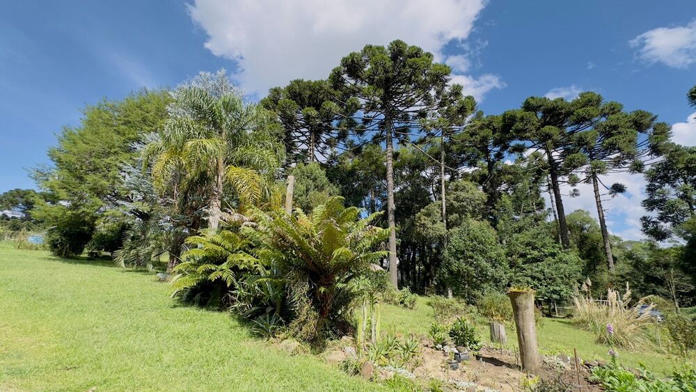 Sítio à venda com 3 quartos, 90m² - Foto 6