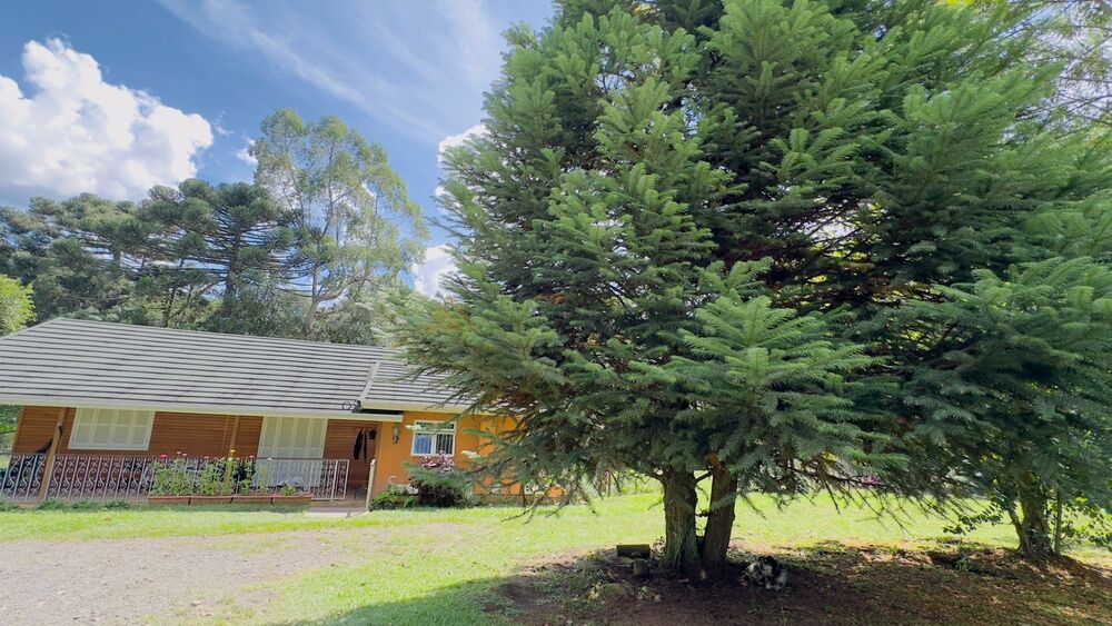 Sítio à venda com 3 quartos, 90m² - Foto 7