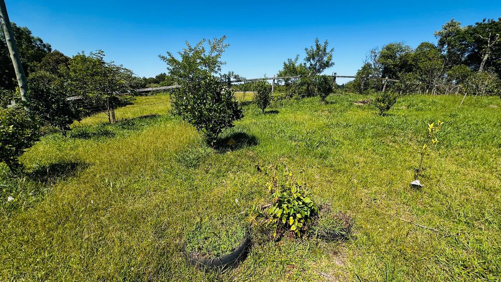 Chácara, 1 quarto - Foto 16