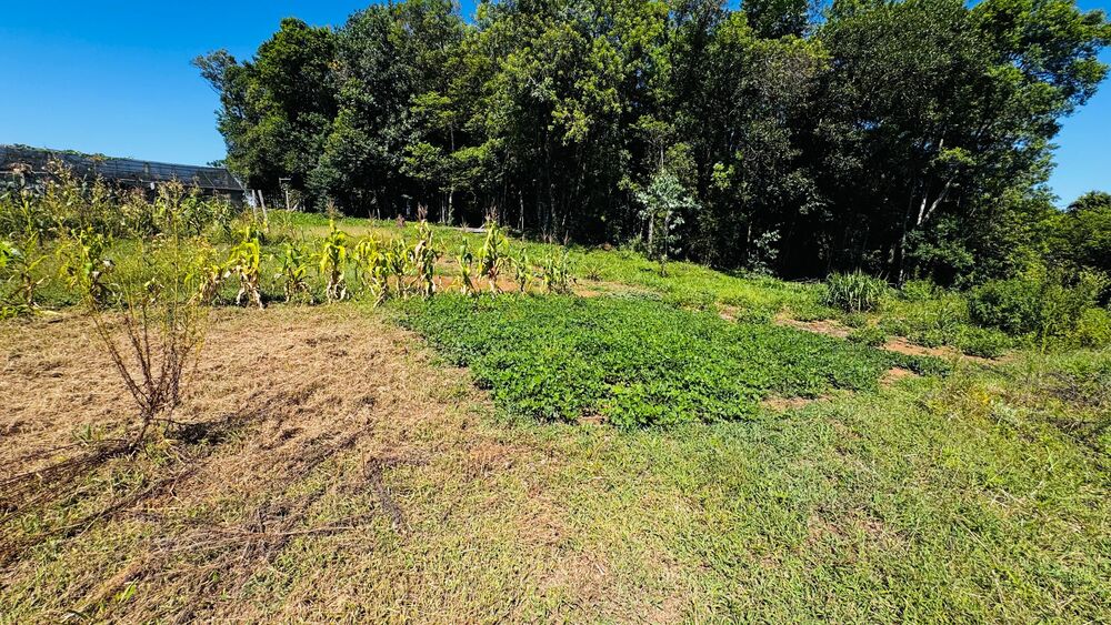 Chácara, 1 quarto - Foto 13