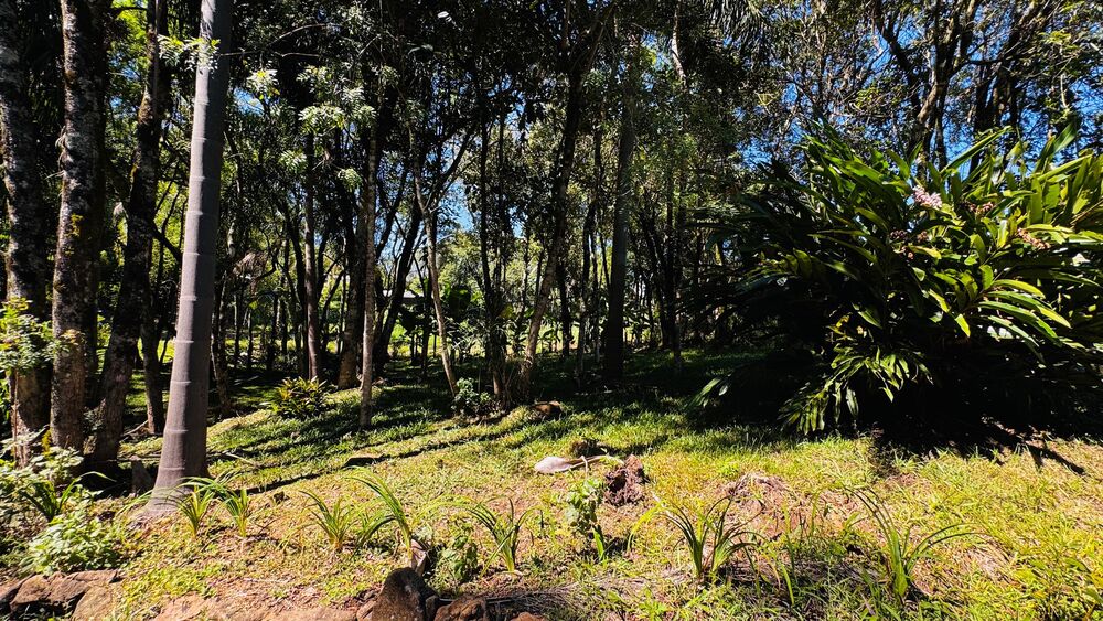 Chácara, 1 quarto - Foto 1