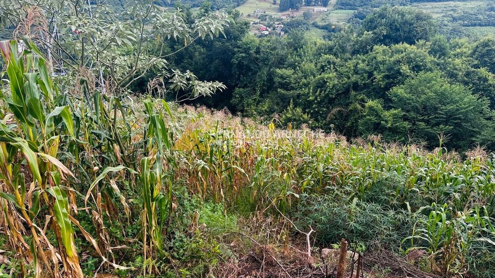 Terreno, 700 m² - Foto 10