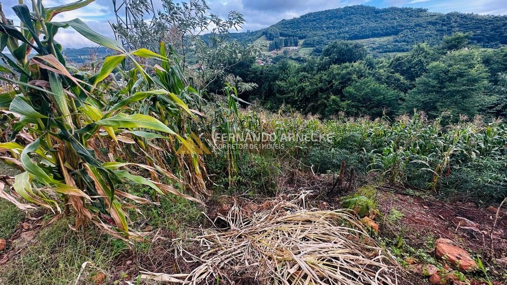 Terreno, 700 m² - Foto 5